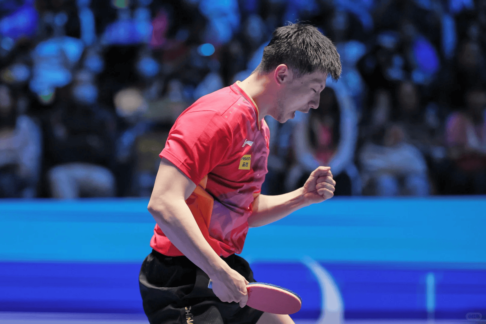 英国乒乓球队爆冷日本乒乓球队，马龙高光表现的简单介绍