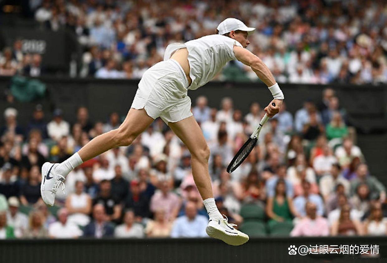 年终总决赛翻盘美网，辛纳点燃赛场的简单介绍