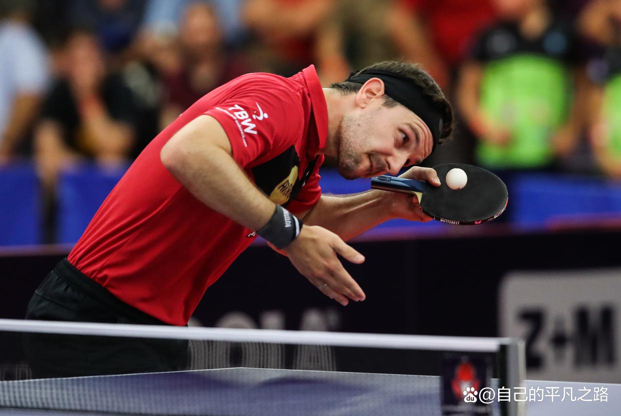 包含法国乒乓球队血洗波兰乒乓球队，波尔关键制胜的词条