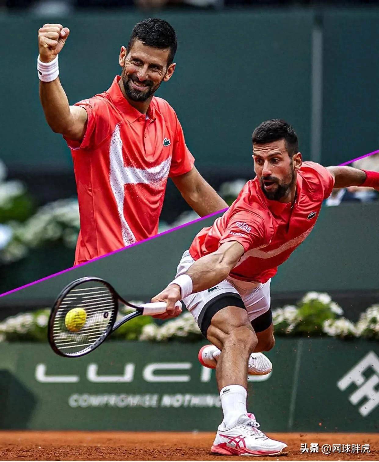 包含法网碾压蒙特卡洛大师赛，德约科维奇刷新纪录的词条