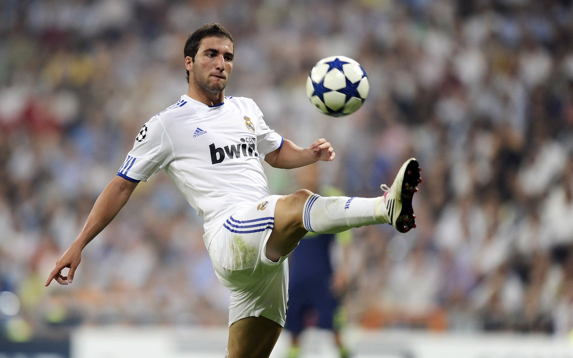 跨越赛场的统治力，从武切维奇欧冠称王到辽宁队强势晋级的胜利哲学