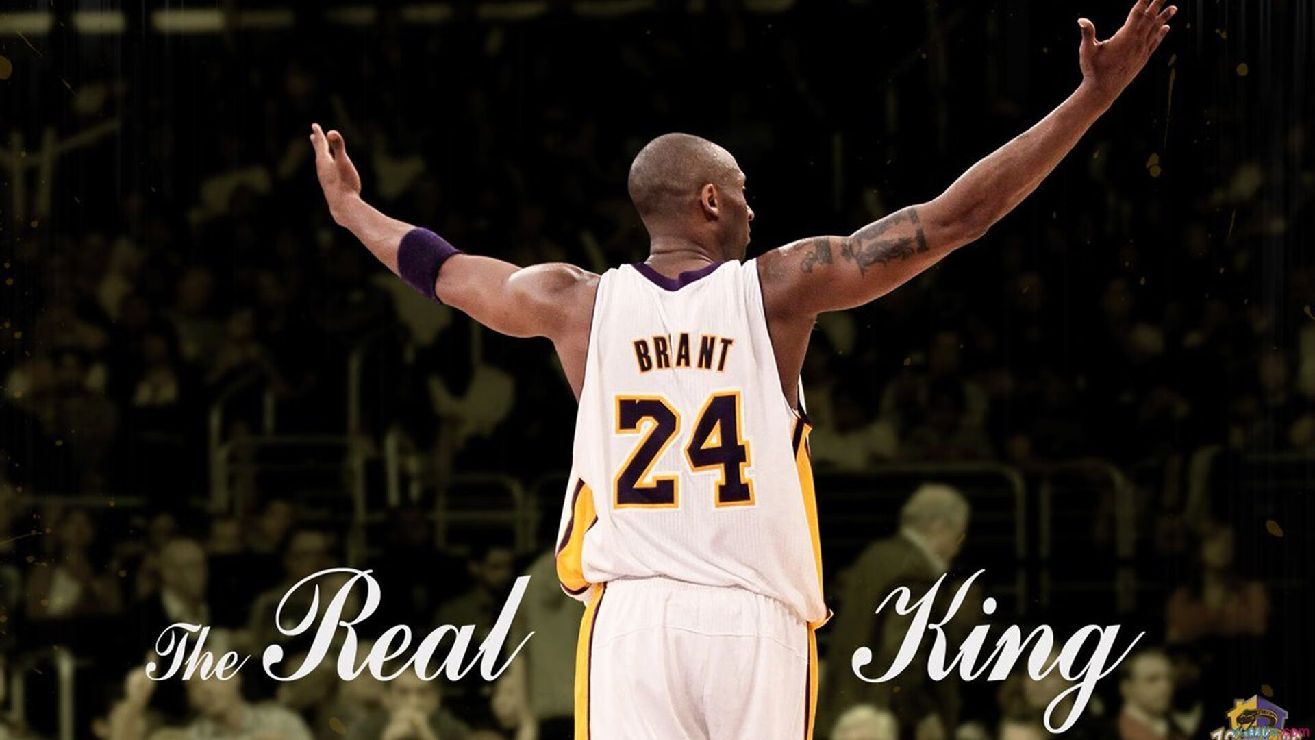 开云体育官方网站-伊布引擎驱动全队节奏，伊朗硬仗精神铸就亚特兰大奇迹